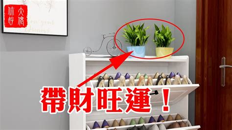 鞋櫃上放植物|鞋櫃上可以養什麼植物呢 (附圖)